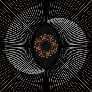 THE OCEAN Holocene LP